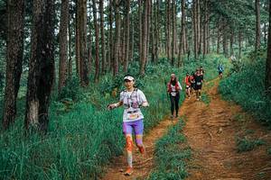 BIB: 
                            <button type="button" onclick="openModal(25672772)" class="btn btn-primary btn-sm float-right btn-popup" data-toggle="modal" data-target=".modal-high-quality">
                        <i class="fas fa-shopping-cart"></i> Add to Cart
                    </button>
                                            <button type="button" onclick="isThisMe(25672772, true)" class="btn btn-success btn-sm float-right btn-popup btn-isme hidden" data-toggle="tooltip" data-placement="bottom" title="นี่คือรูปของคุณใช่ไหม คลิกที่นี่เพื่อเอาเข้าอัลบั้ม">
                        <i class="fas fa-plus"></i> Add to album
                    </button>
                    <button type="button" onclick="isThisMe(25672772, false)" class="btn btn-warning btn-sm float-right btn-popup btn-isnotme hidden">
                        <i class="fas fa-ban"></i> Remove from album
                    </button>